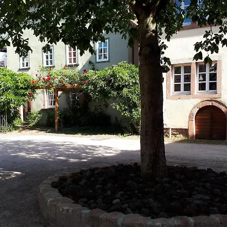 Apartment Annette Faust Miltenberg Exterior photo