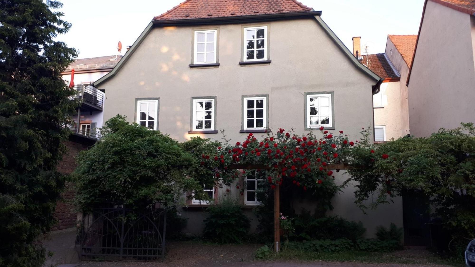 Annette Faust Apartment Miltenberg